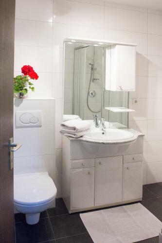 Apartamento Appartements Zinner-pale