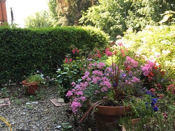 Albergue Burton Villa Guest House