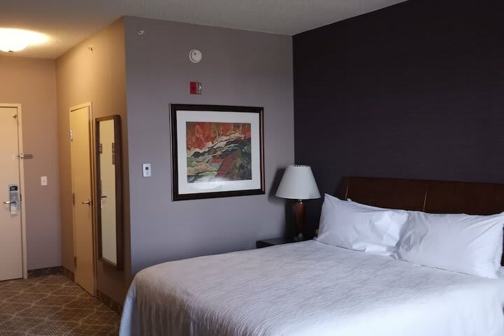 Hotel Hilton Garden Inn Calgary Airport
