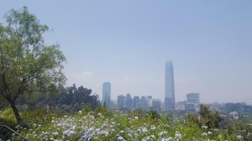 Apartamento Santiago Downtown Bellavista 165