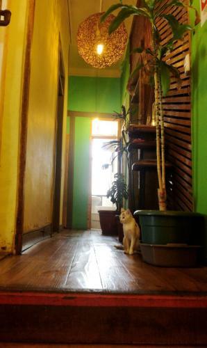 Albergue Green Secret Hostal