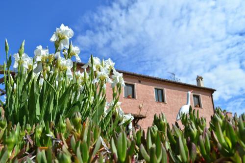 Bed & Breakfast Airone Country House