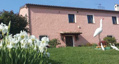 Bed & Breakfast Airone Country House