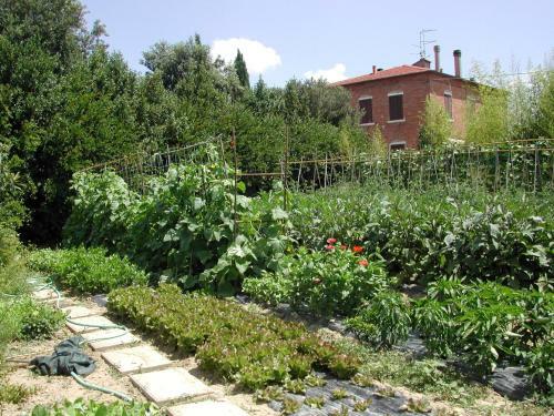 Bed & Breakfast La Lodola