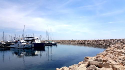 Alex Beach Apartment 51