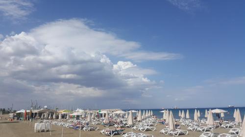 Alex Beach Apartment 51