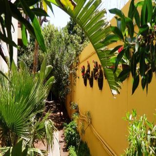 Riad Zahra