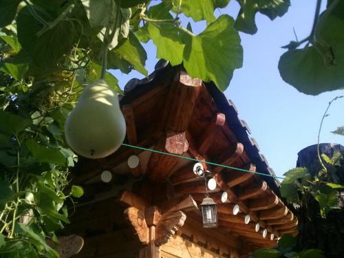 Hostal Fragrance Of Moonlight