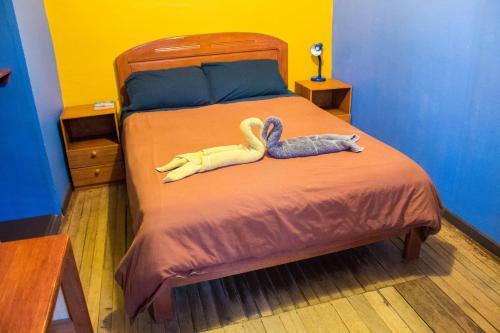 Albergue Wild Rover La Paz