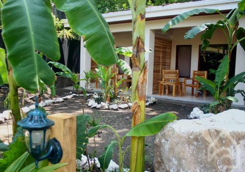 Albergue Casa Del Mar Surf Destiny