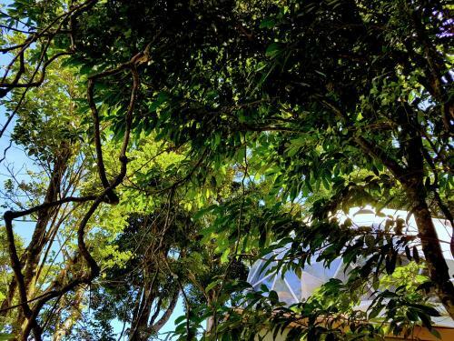 Hotel Chira Glamping Monteverde