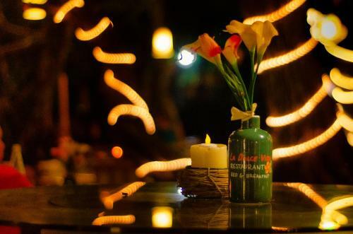 Bed & Breakfast La Dolce Vita Playa Samara