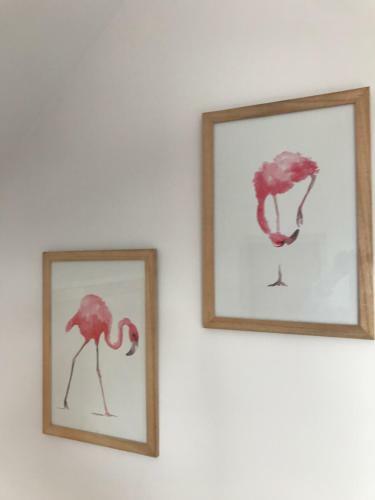 Toluken Apartamento