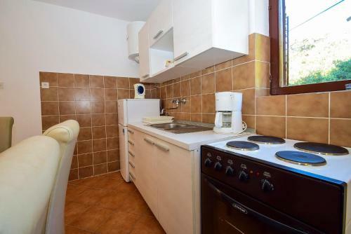 Apartments Radojka 1203