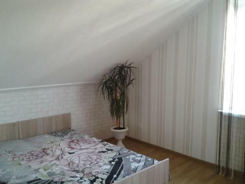 Hostal Vladimir Guest House