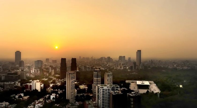Hotel Hyatt Regency M�xico City