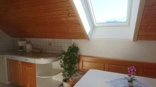 Apartmaji Marinka Hodnik