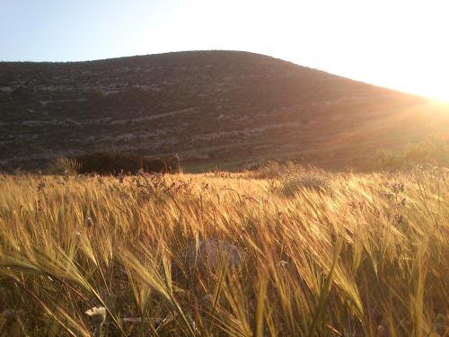 Agroturismo La Hierbaluisa
