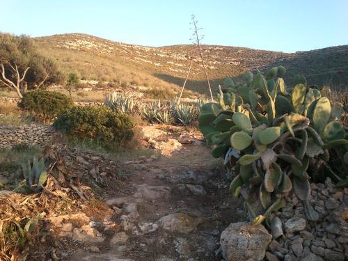 Agroturismo La Hierbaluisa