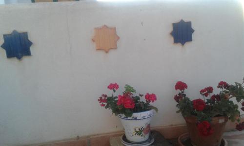 Agroturismo La Hierbaluisa