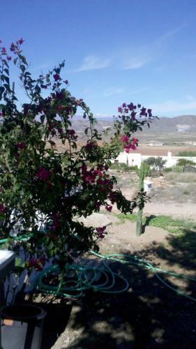 Agroturismo La Hierbaluisa