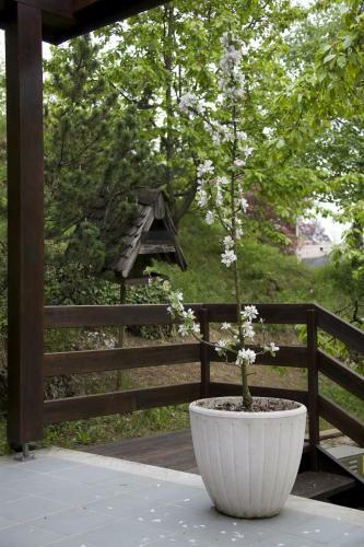 Bed & Breakfast Alparti Mini Hotel