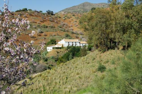 Rural Montes M�laga: Cortijo La Palma