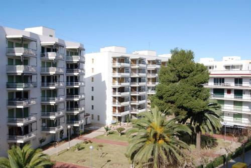 Apartamento Zeus Bellfort