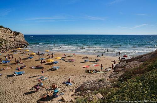 Apartamento Zeus Bellfort