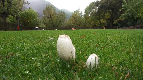 C�mping L'orri Del Pallars