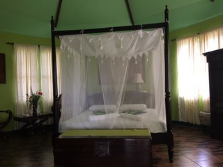 Hotel Mangrove Oriental Bed & Breakfast Resort