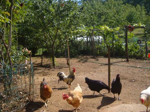 G�te La Jaubertie Labellis� Handicap