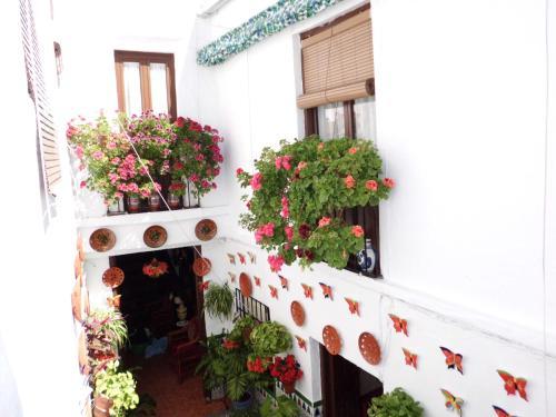 Hostal Pensi�n Agustina