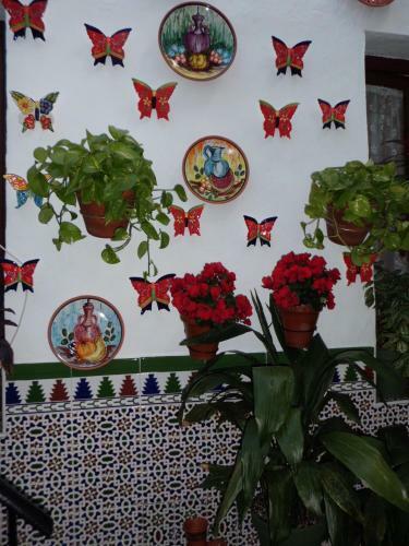 Hostal Pensi�n Agustina