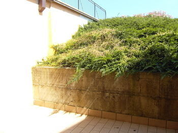 Residencia Relais Corte Paradiso