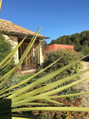 Bed & Breakfast Le Mas Du Fort