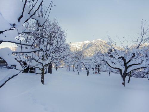 Agroturismo Untererhof 1
