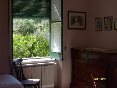 Gli Ulivi