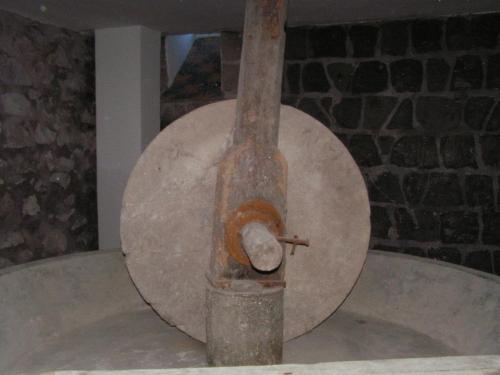 Gli Ulivi