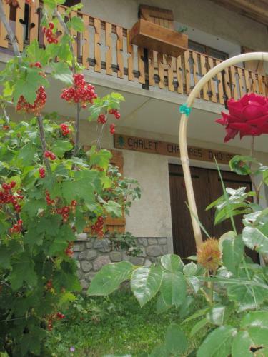 B&B Chalet La Providence