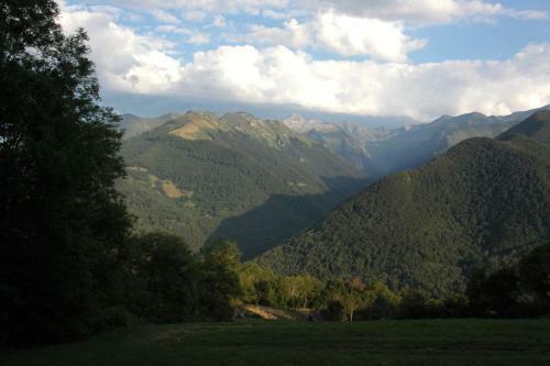 Bed & Breakfast La Vigne Vierge