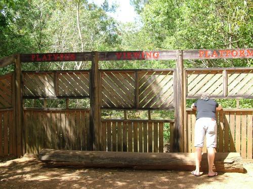 Agroturismo Curlew Cottage - Yungaburra