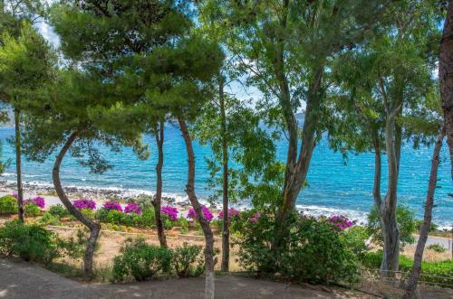 Apartamento Douka Sea Front Residencies