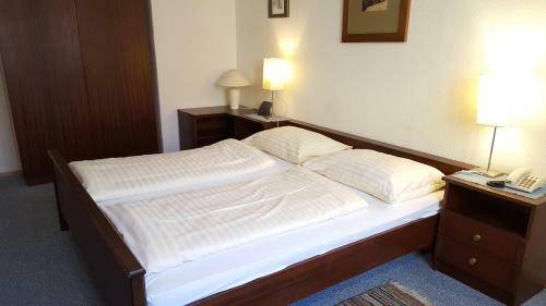 Posada Gasthof Zum Gr�nen Baum