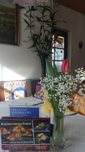 Posada Gasthof Zum Gr�nen Baum