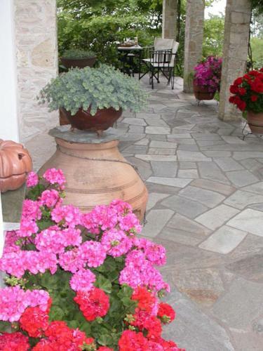 Hostal Guesthouse Kalosorisma