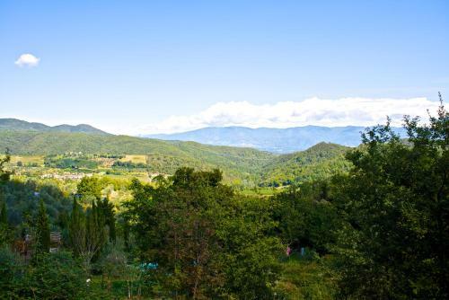 Bed & Breakfast Lionforti Da Vico