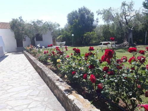 Apartamento Marios House