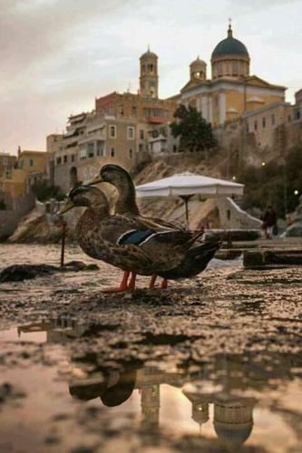 Villa Thalassographia Syros