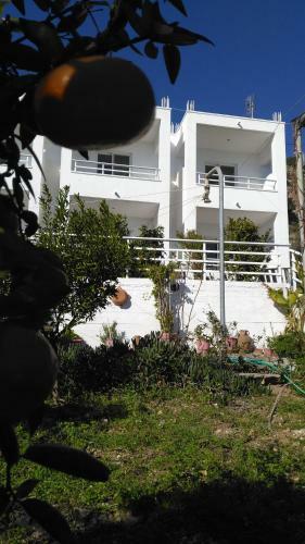 Apartamento Antouan Matina